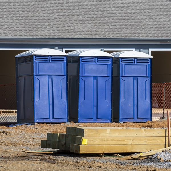 do you offer hand sanitizer dispensers inside the porta potties in Newfoundland NJ